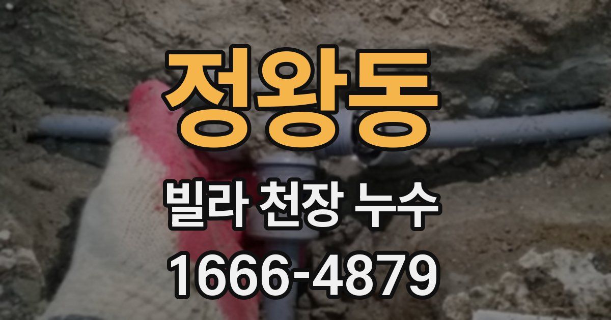 정왕동 빌라 천장 누수