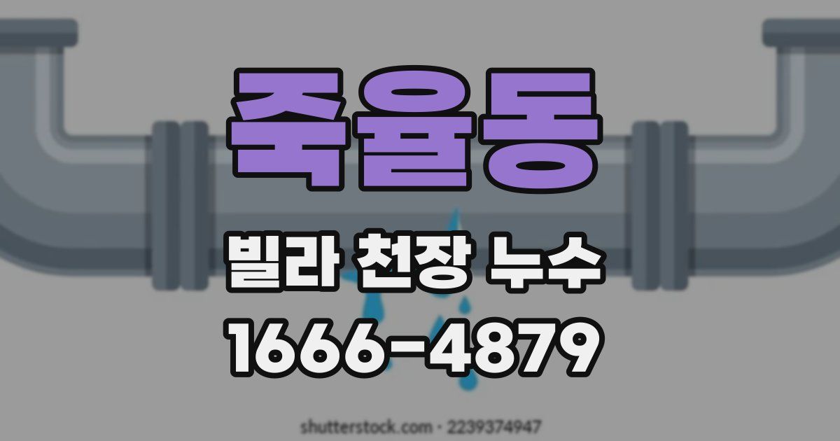 죽율동 빌라 천장 누수
