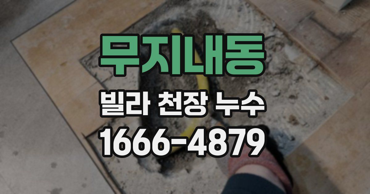 무지내동 빌라 천장 누수