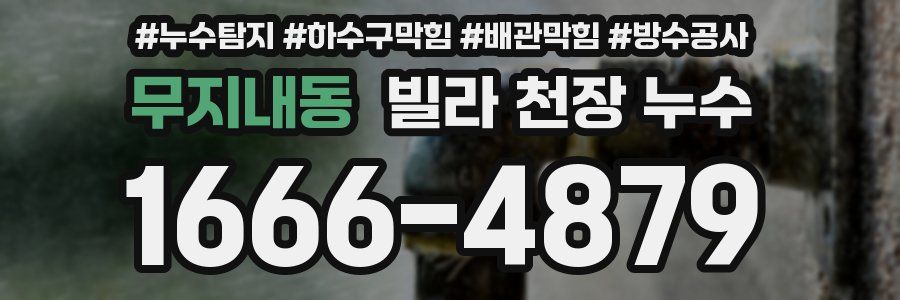무지내동 빌라 천장 누수