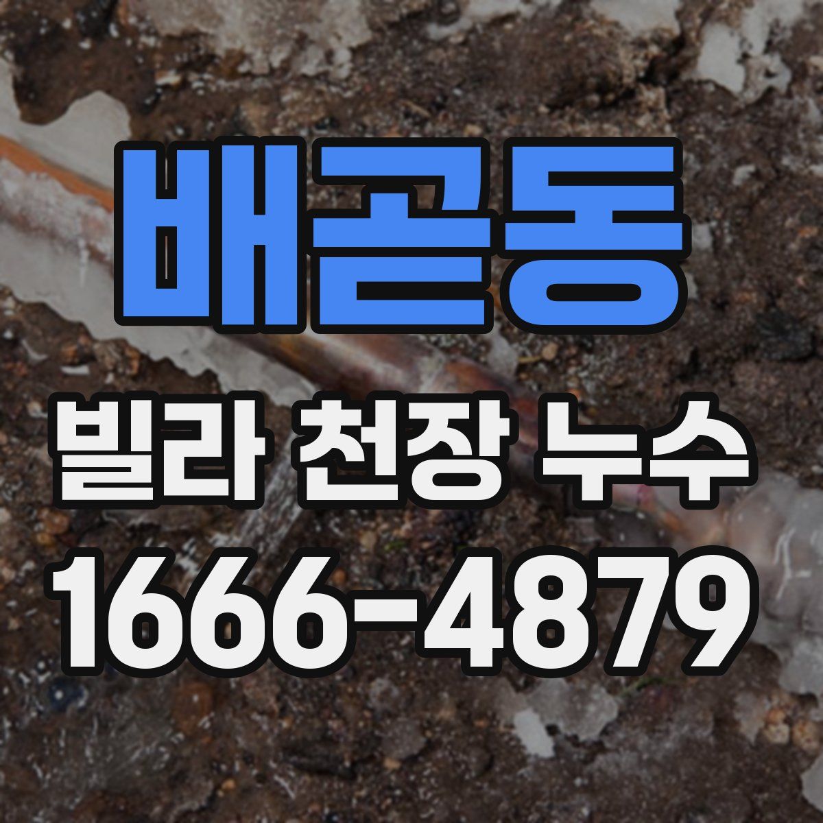 배곧동 빌라 천장 누수