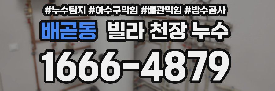 배곧동 빌라 천장 누수