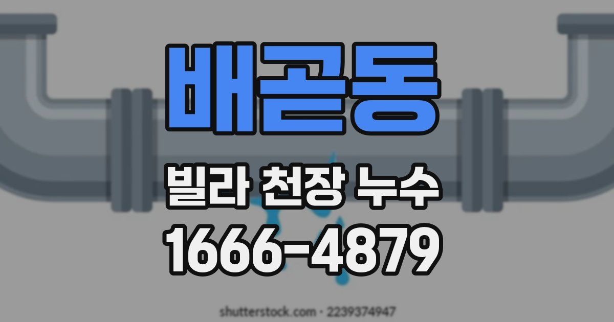 배곧동 빌라 천장 누수