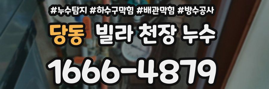 당동 빌라 천장 누수