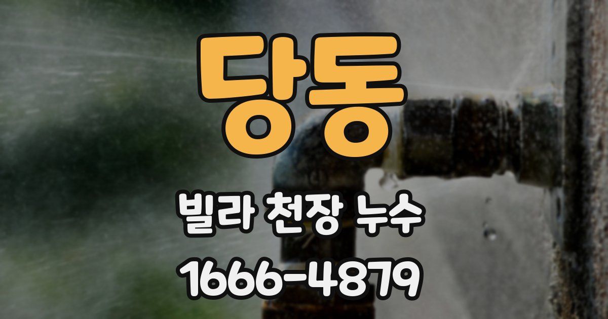 당동 빌라 천장 누수