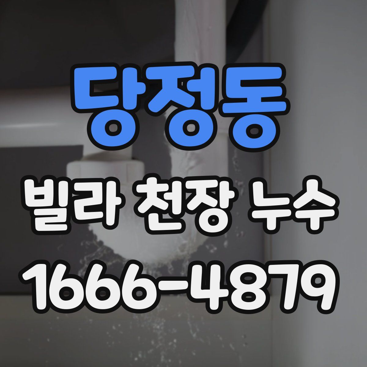 당정동 빌라 천장 누수