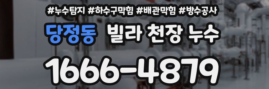당정동 빌라 천장 누수