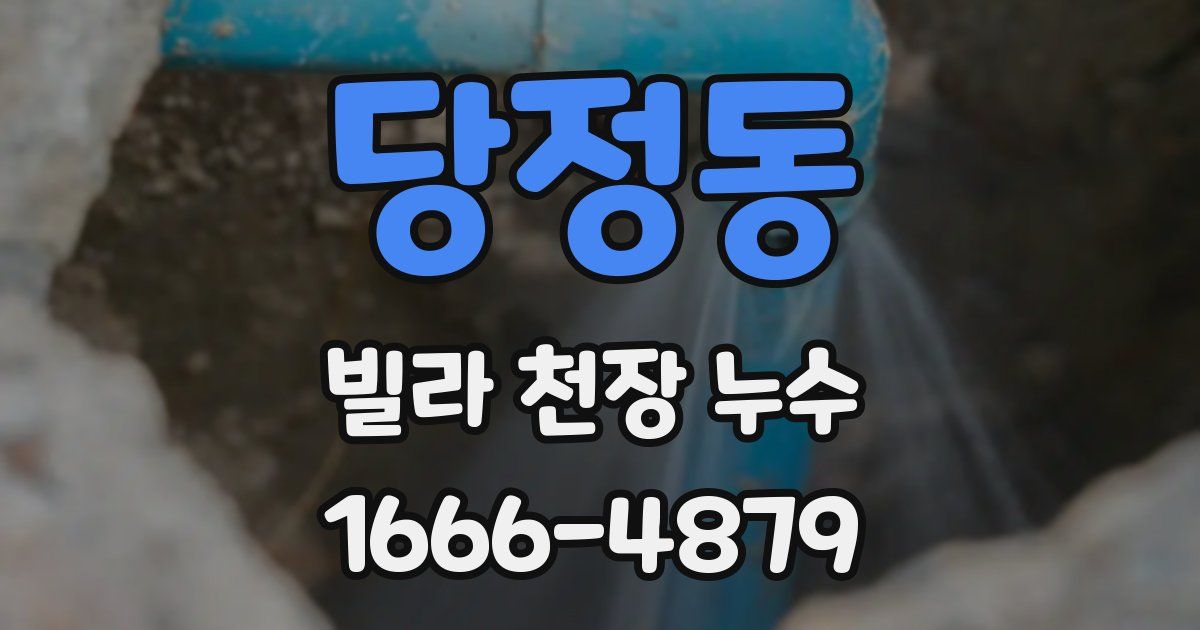 당정동 빌라 천장 누수