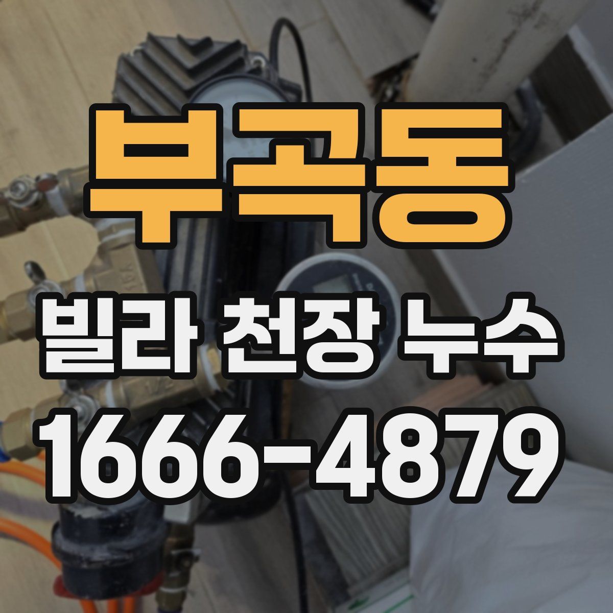 부곡동 빌라 천장 누수