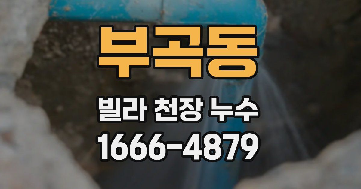 부곡동 빌라 천장 누수
