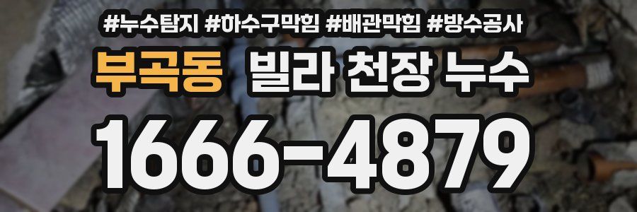 부곡동 빌라 천장 누수