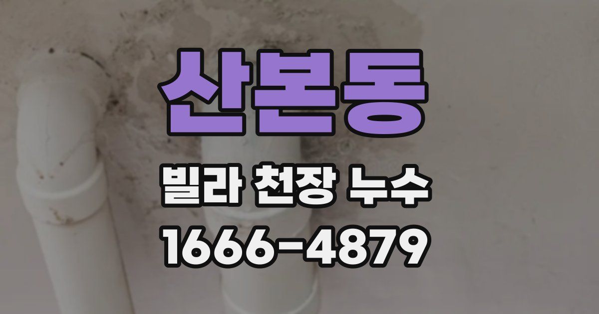 산본동 빌라 천장 누수