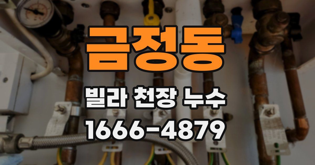 금정동 빌라 천장 누수