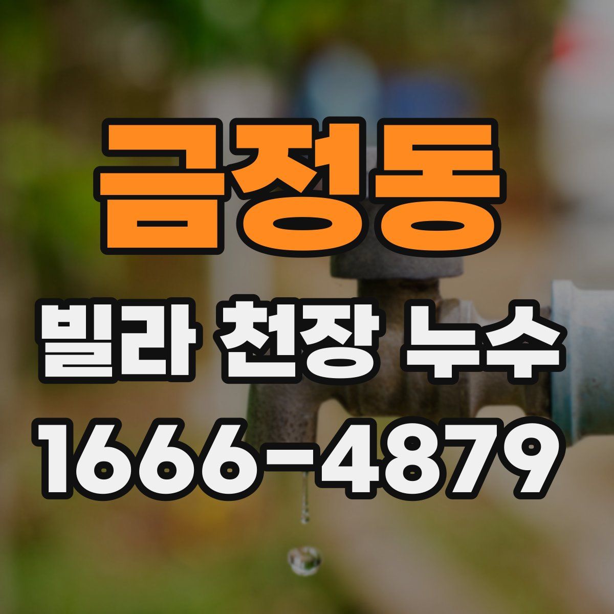 금정동 빌라 천장 누수