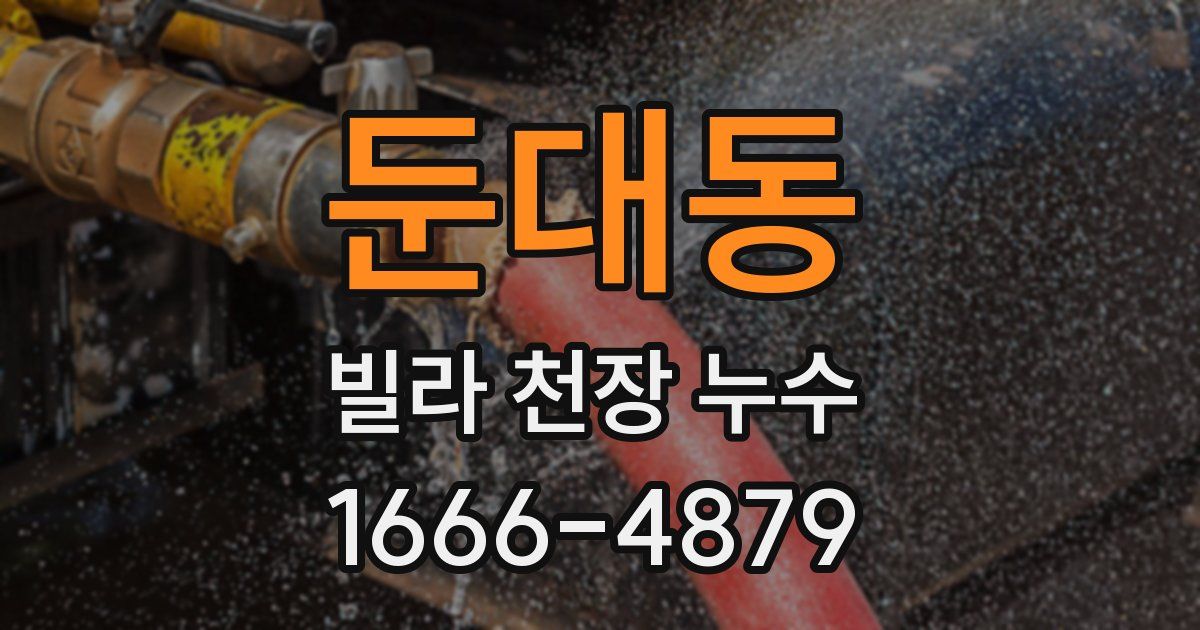둔대동 빌라 천장 누수
