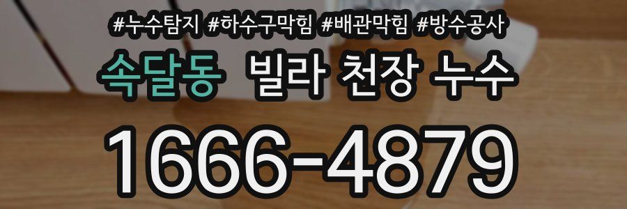 속달동 빌라 천장 누수