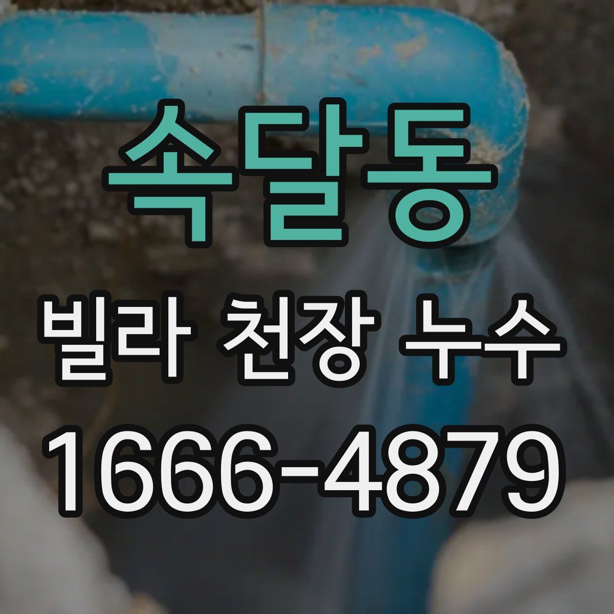 속달동 빌라 천장 누수
