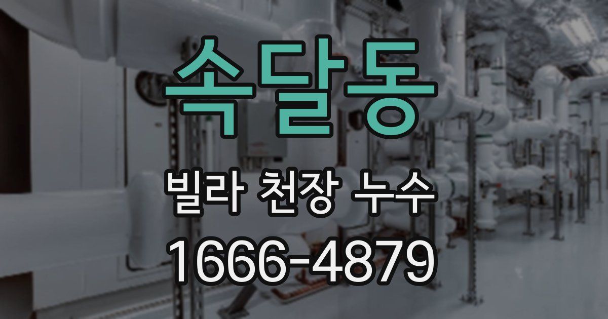 속달동 빌라 천장 누수