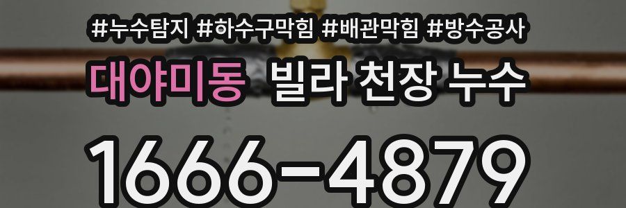 대야미동 빌라 천장 누수