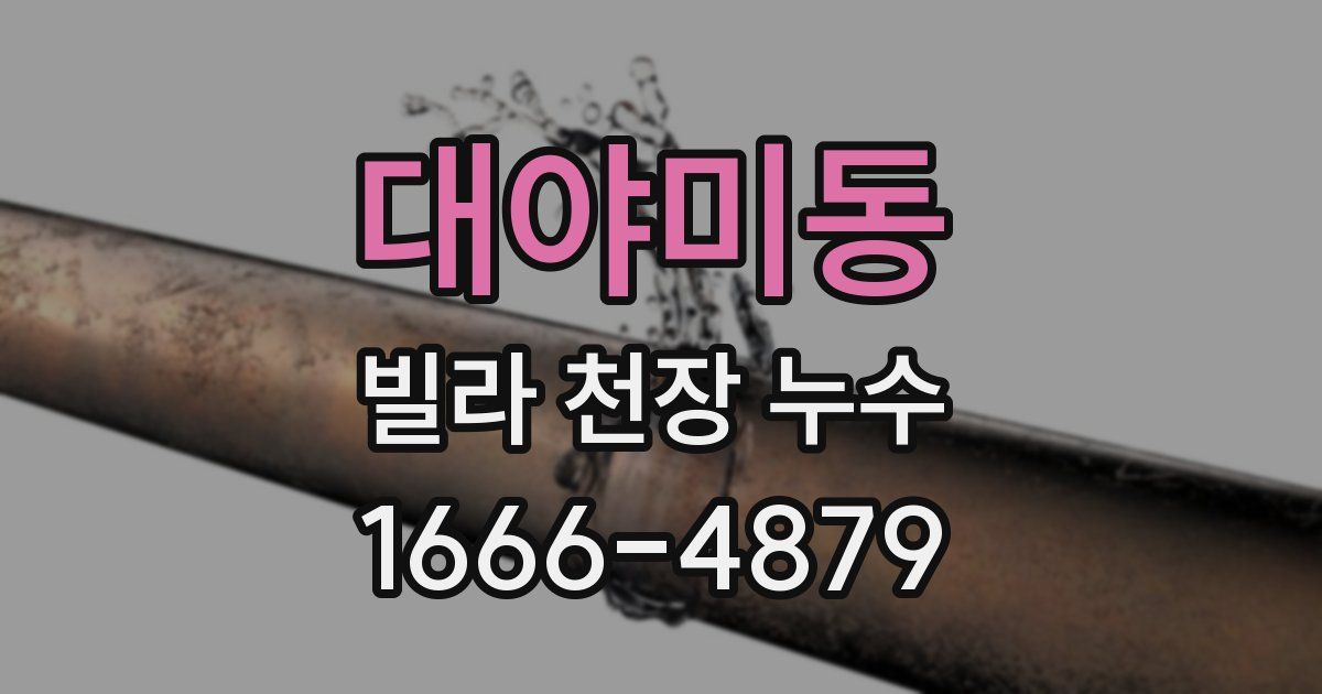 대야미동 빌라 천장 누수
