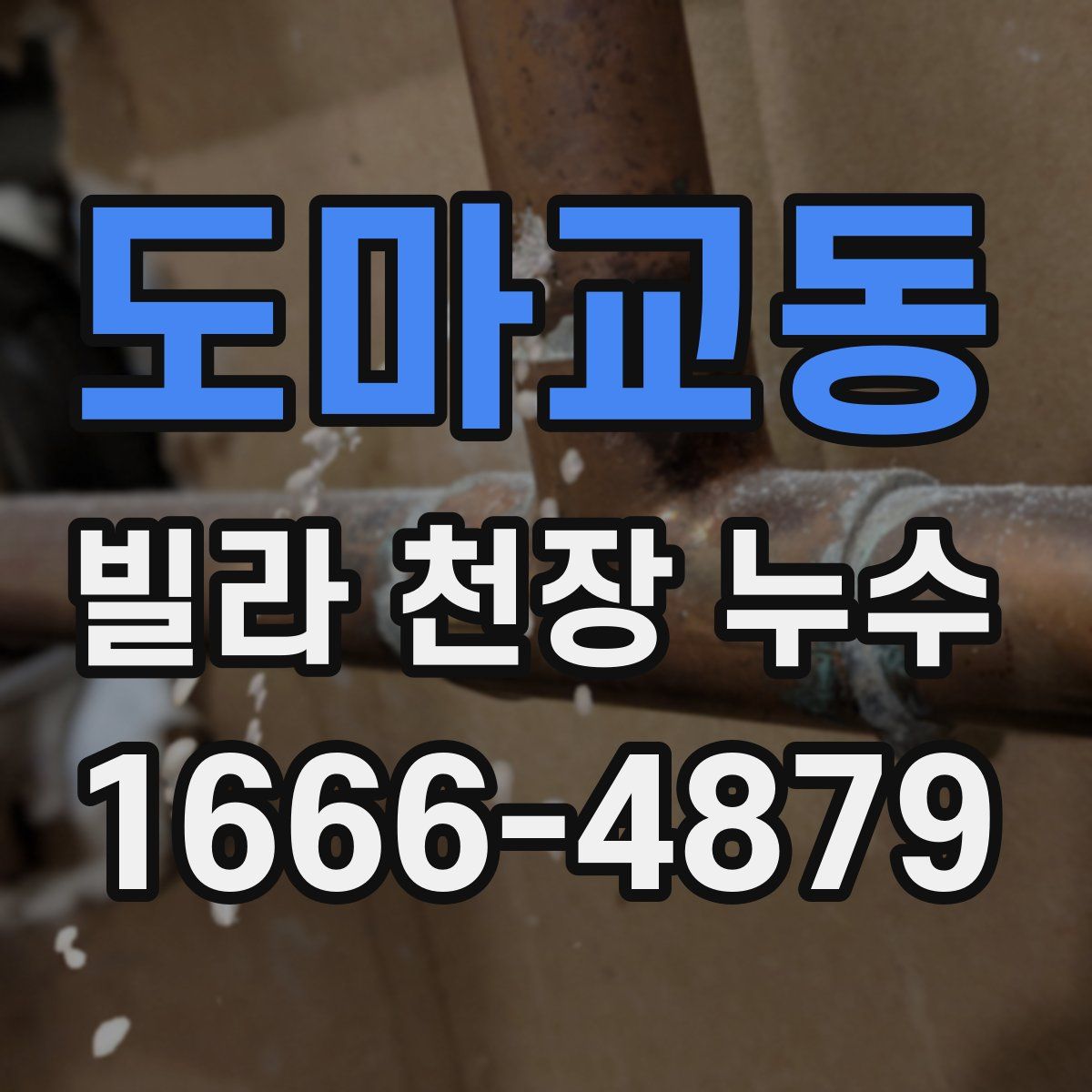 도마교동 빌라 천장 누수