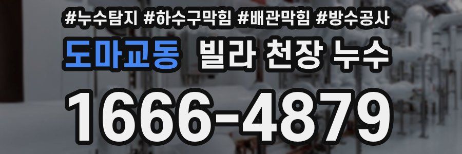 도마교동 빌라 천장 누수