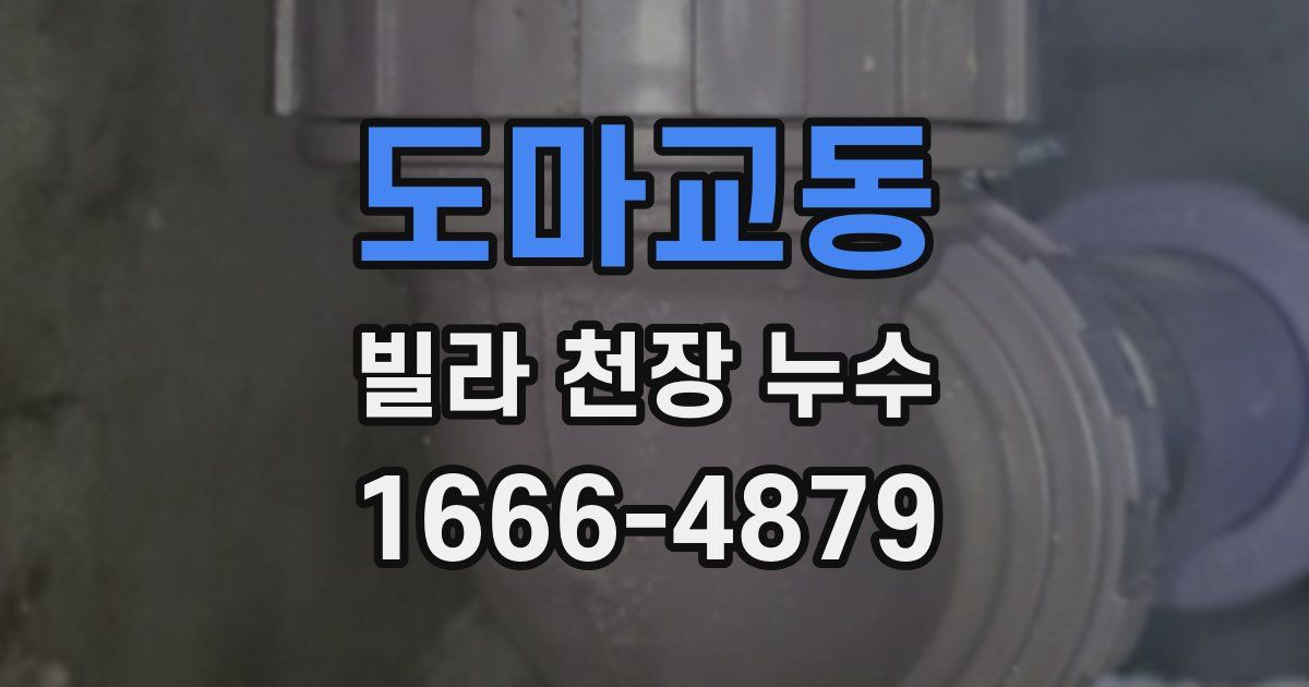 도마교동 빌라 천장 누수