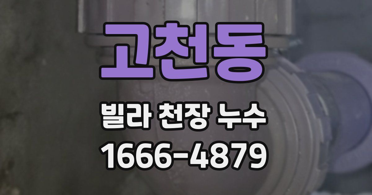 고천동 빌라 천장 누수