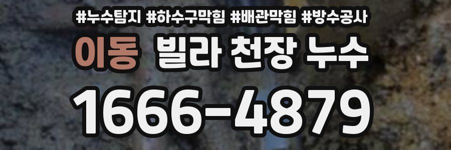 이동 빌라 천장 누수