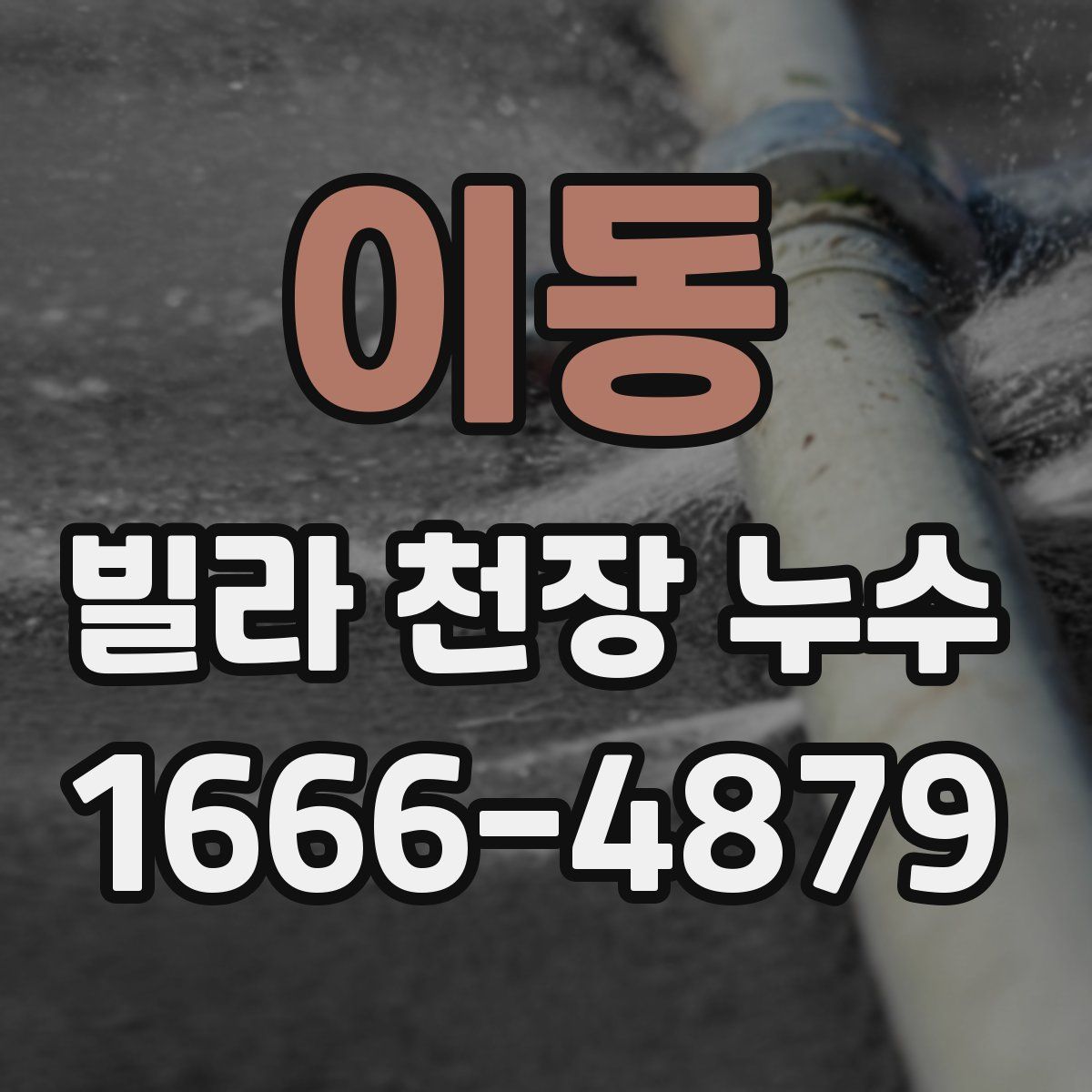 이동 빌라 천장 누수