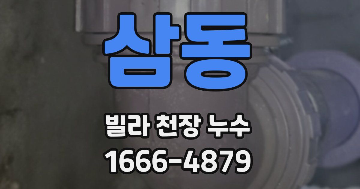 삼동 빌라 천장 누수