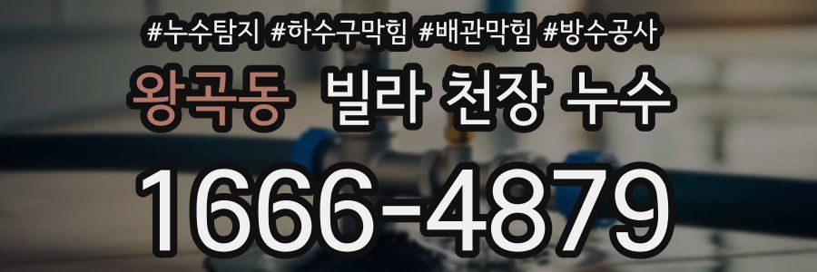 왕곡동 빌라 천장 누수