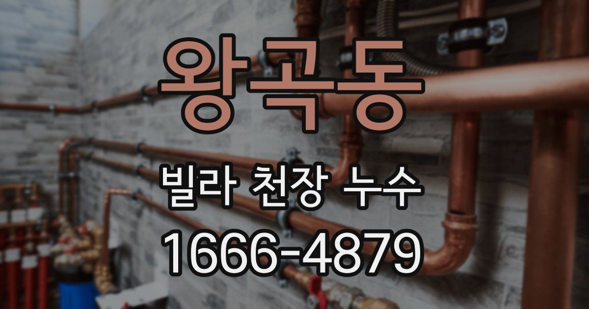 왕곡동 빌라 천장 누수