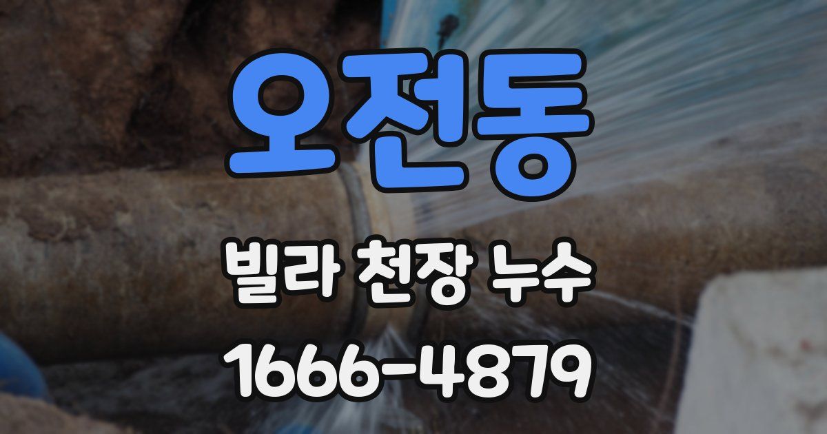 오전동 빌라 천장 누수