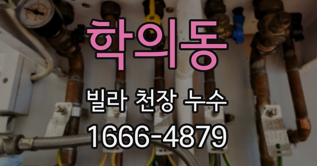 학의동 빌라 천장 누수