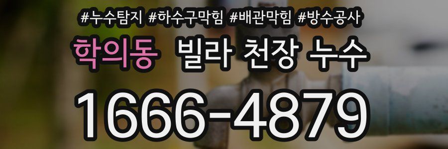 학의동 빌라 천장 누수