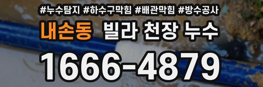 내손동 빌라 천장 누수