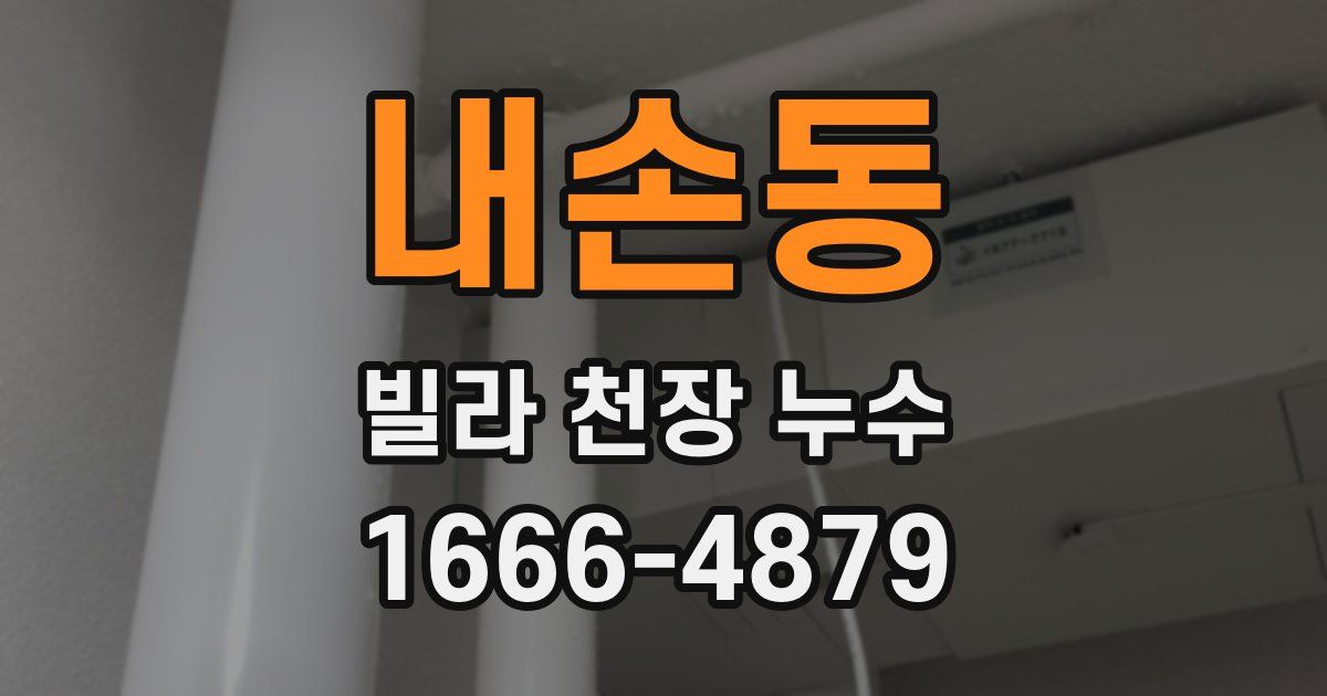 내손동 빌라 천장 누수