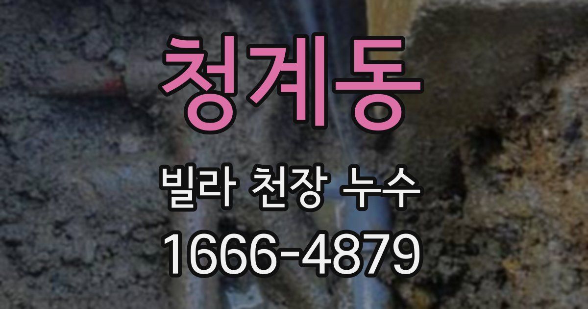 청계동 빌라 천장 누수
