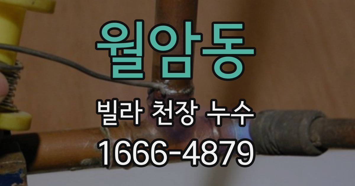 월암동 빌라 천장 누수