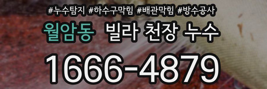 월암동 빌라 천장 누수
