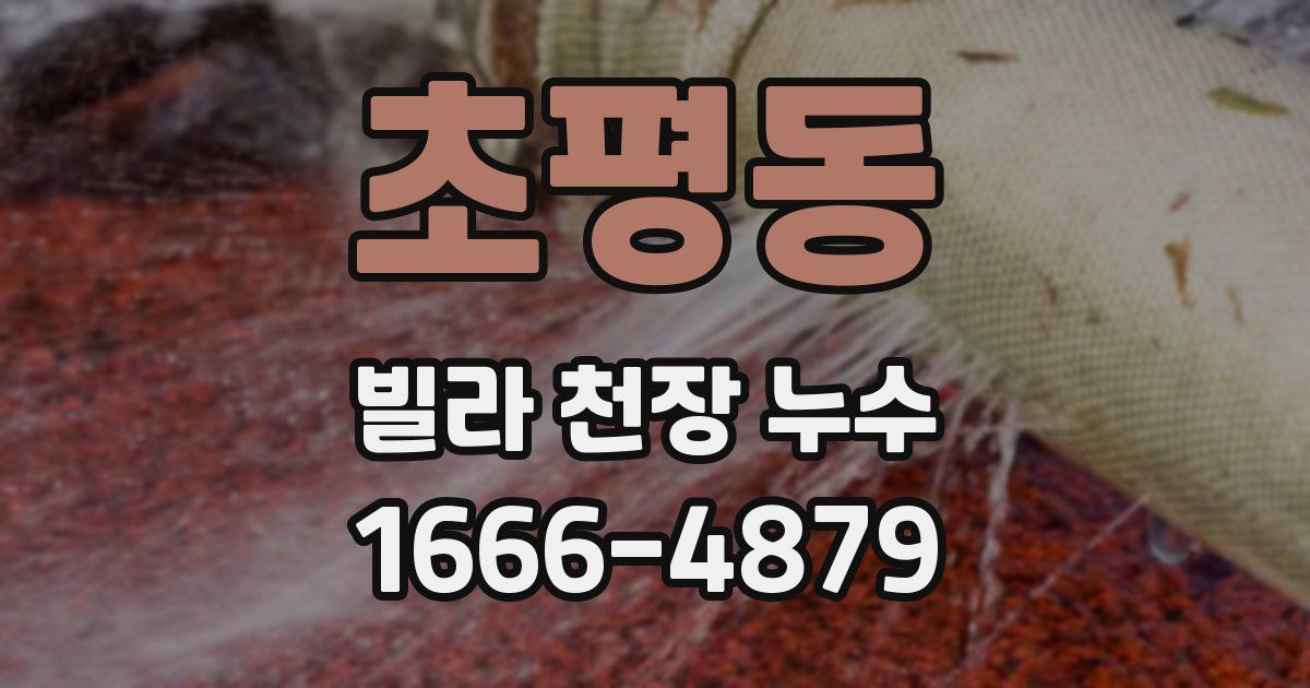 초평동 빌라 천장 누수