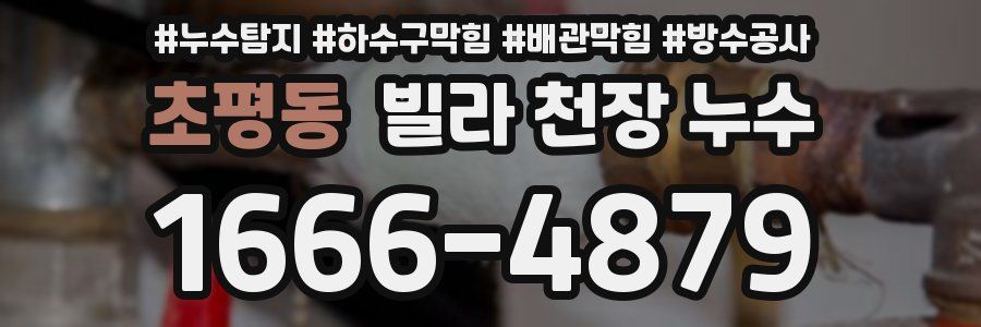 초평동 빌라 천장 누수