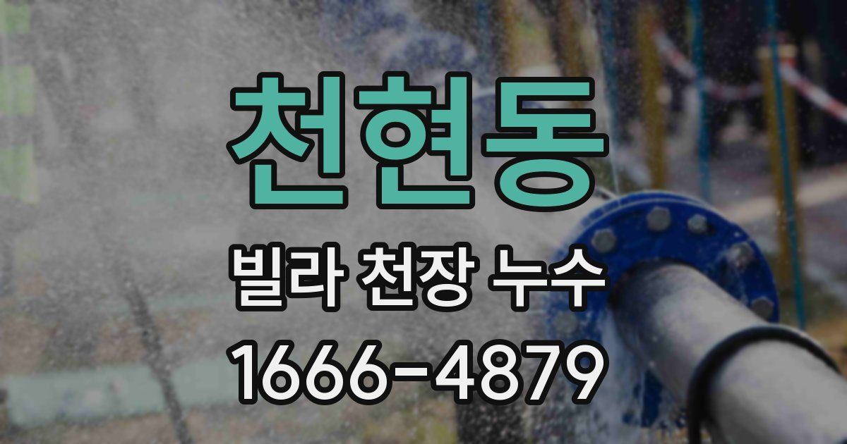 천현동 빌라 천장 누수