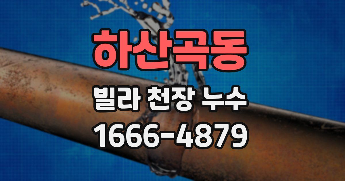 하산곡동 빌라 천장 누수