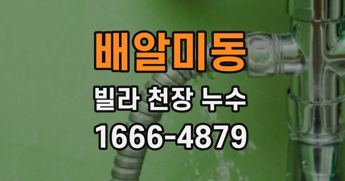 배알미동 빌라 천장 누수