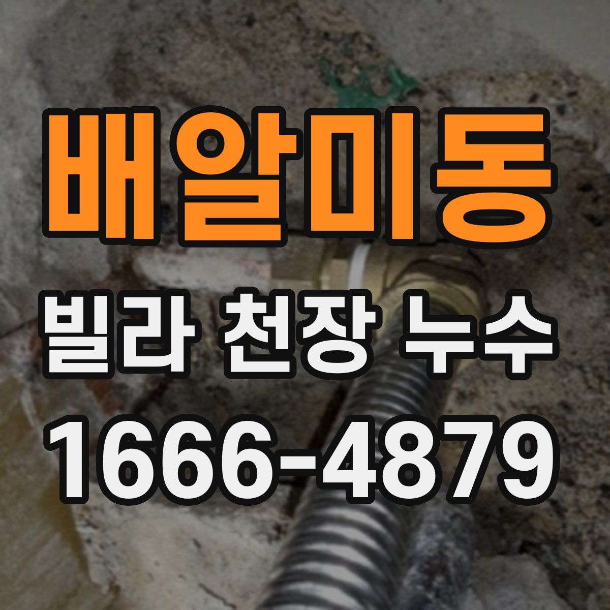 배알미동 빌라 천장 누수