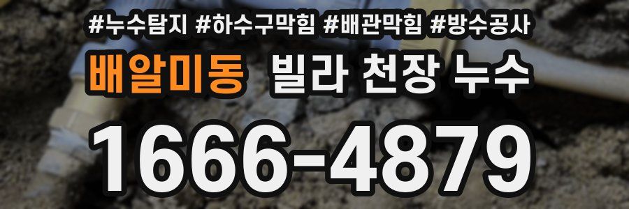 배알미동 빌라 천장 누수