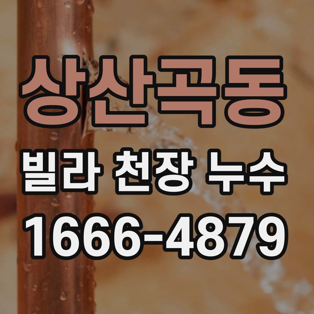 상산곡동 빌라 천장 누수