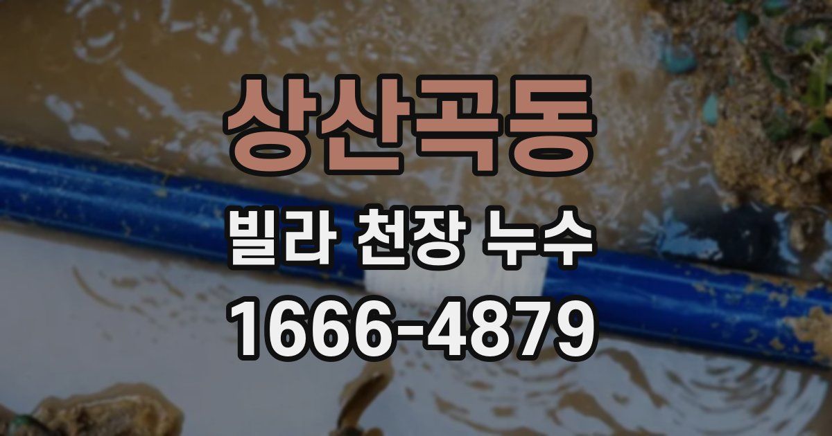 상산곡동 빌라 천장 누수